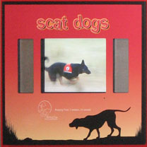 Scat Dogs